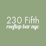 230 Fifth logo