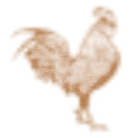 Catalyst logo