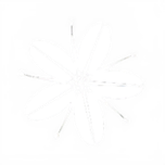 Cherrywood Coffee House logo