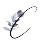 Coletta Italian Vegan Restaurant logo