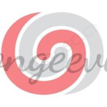 Congee Village logo