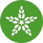 Fulton Brewing Taproom logo