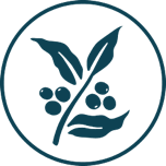 George Howell Coffee logo