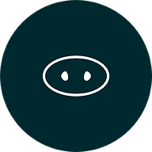 Hakata TonTon logo