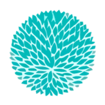 KT Collection Jewelry logo