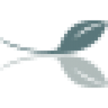 Kuva Salon logo