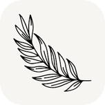 Mēdüzā Mediterrania logo