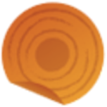 Madras Dosa Co. logo