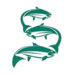 Simply Nova logo