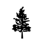Tamarack Brewing Co logo