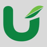 United Noodles logo