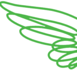 Wild Project logo