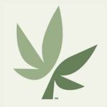 Wildflower logo